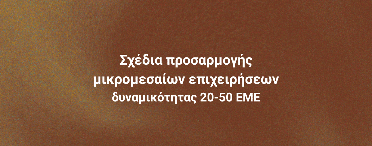 Επιδοτήσεις Site Banners (36)